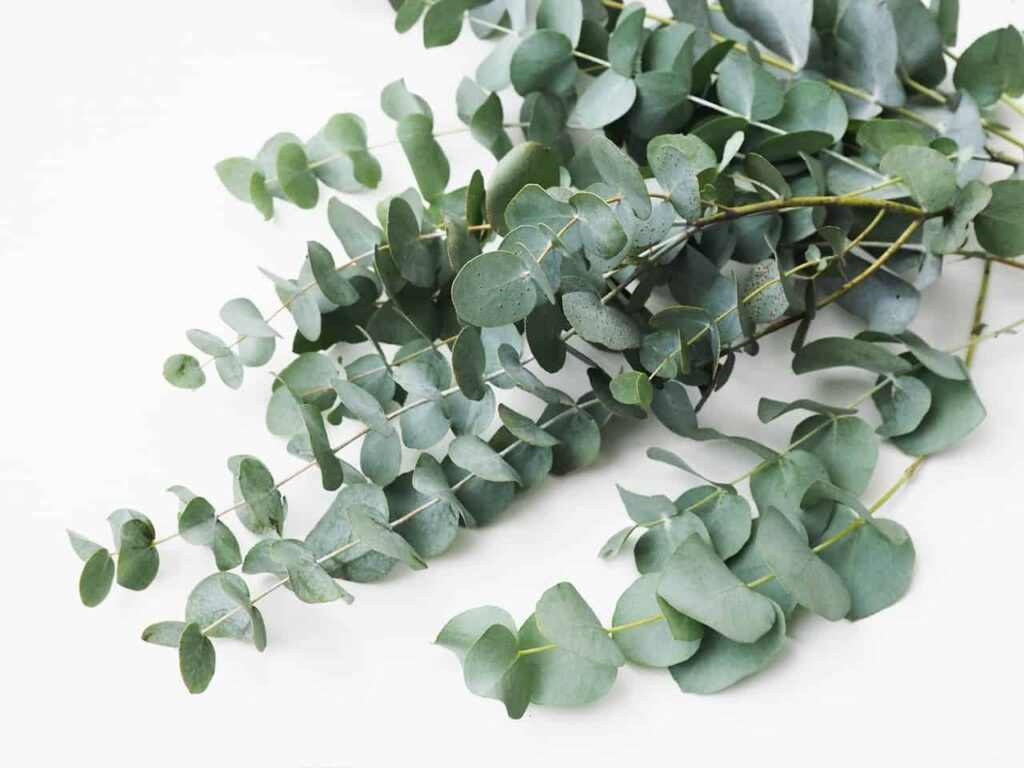 artificial plants for home